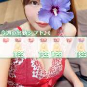 江藤さくら 11:0023:00 ワイフの楽園