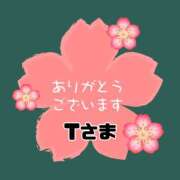 ヒメ日記 2025/12/11 09:19 投稿 江藤さくら ワイフの楽園
