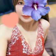 ヒメ日記 2025/12/30 11:22 投稿 江藤さくら ワイフの楽園