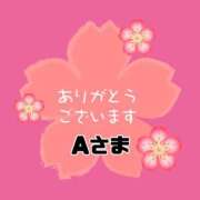 ヒメ日記 2026/01/18 18:09 投稿 江藤さくら ワイフの楽園