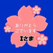 ヒメ日記 2026/02/18 09:08 投稿 江藤さくら ワイフの楽園