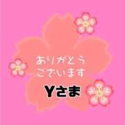 ヒメ日記 2026/03/17 08:05 投稿 江藤さくら ワイフの楽園