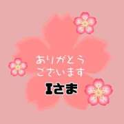 江藤さくら I3/28 ワイフの楽園