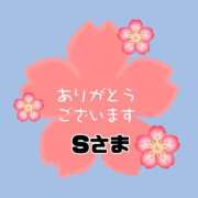 ヒメ日記 2026/04/16 17:52 投稿 江藤さくら ワイフの楽園
