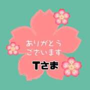 ヒメ日記 2026/04/16 17:56 投稿 江藤さくら ワイフの楽園