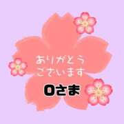 ヒメ日記 2026/04/22 08:04 投稿 江藤さくら ワイフの楽園