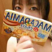 ヒメ日記 2025/12/11 11:28 投稿 てん アラモード