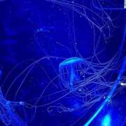 ヒメ日記 2025/12/10 16:12 投稿 あやめ エンジェルハンズ