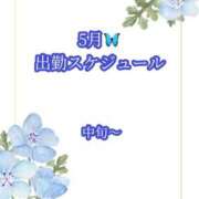 ヒメ日記 2026/05/13 11:00 投稿 れみ フォーチュン