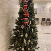 柴咲ゆうり 退勤☺︎ 11月ありがとうございました🍁 五反田マーマレード(ユメオト)