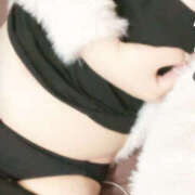 ヒメ日記 2025/11/09 04:00 投稿 しあ 僕らのぽっちゃリーノin越谷