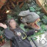 ヒメ日記 2025/11/03 10:11 投稿 椿 聖女(マリア)