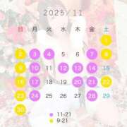 ヒメ日記 2025/11/05 10:11 投稿 椿 聖女(マリア)