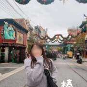 ヒメ日記 2025/11/06 00:41 投稿 椿 聖女(マリア)