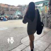 ヒメ日記 2025/11/09 08:11 投稿 椿 聖女(マリア)