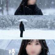 ヒメ日記 2025/11/16 14:31 投稿 椿 聖女(マリア)