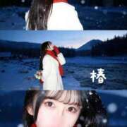 ヒメ日記 2025/11/16 23:51 投稿 椿 聖女(マリア)