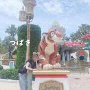 ヒメ日記 2025/12/22 10:02 投稿 椿 聖女(マリア)