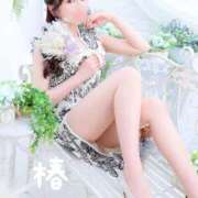 ヒメ日記 2025/12/30 21:41 投稿 椿 聖女(マリア)