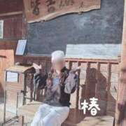 ヒメ日記 2026/01/10 08:21 投稿 椿 聖女(マリア)