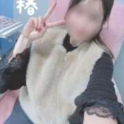 ヒメ日記 2026/01/30 08:11 投稿 椿 聖女(マリア)