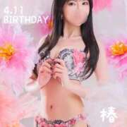 ヒメ日記 2026/04/01 17:08 投稿 椿 聖女(マリア)