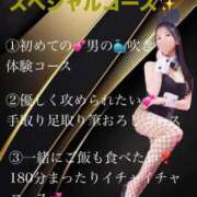 ヒメ日記 2026/06/15 14:18 投稿 椿 聖女(マリア)