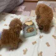 ヒメ日記 2025/10/02 10:33 投稿 ひより 奥様電車