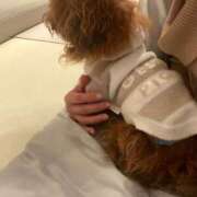 ヒメ日記 2025/11/09 12:07 投稿 ひより 奥様電車