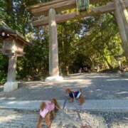 ヒメ日記 2025/11/17 13:49 投稿 ひより 奥様電車