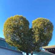 ひより バレンタイン 奥様電車