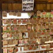 ひより 阪神の選手 奥様電車