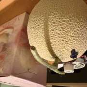 ヒメ日記 2025/09/15 13:55 投稿 長谷川 きよみ こあくまな熟女たち 金沢店(KOAKUMAグループ)