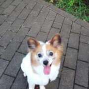 ヒメ日記 2025/09/29 01:25 投稿 紫苑（しおん） 熟女の風俗最終章 大宮店