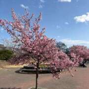 ヒメ日記 2026/03/27 09:48 投稿 すみれ 熟女の風俗最終章 高崎店