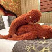 ヒメ日記 2026/04/08 09:15 投稿 すみれ 熟女の風俗最終章 高崎店