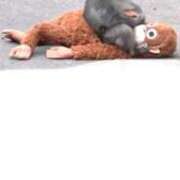 ヒメ日記 2026/04/15 11:43 投稿 すみれ 熟女の風俗最終章 高崎店