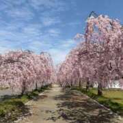 ヒメ日記 2026/04/22 08:18 投稿 すみれ 熟女の風俗最終章 高崎店