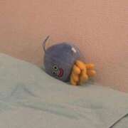 ヒメ日記 2026/02/20 17:20 投稿 そよ 素人系イメージSOAP 彼女感 宇都宮本館