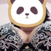 ヒメ日記 2025/09/17 01:32 投稿 しき 宮崎ちゃんこ中央通店