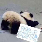 ヒメ日記 2025/10/05 16:02 投稿 しき 宮崎ちゃんこ中央通店