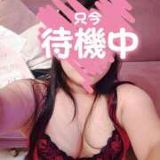 ヒメ日記 2025/11/01 17:07 投稿 みみ ちゃんこ千葉東金店