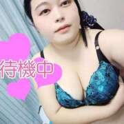 ヒメ日記 2025/11/08 21:24 投稿 みみ ちゃんこ千葉東金店