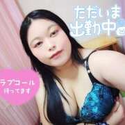 ヒメ日記 2025/11/10 18:48 投稿 みみ ちゃんこ千葉東金店