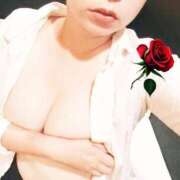 ヒメ日記 2025/09/26 09:35 投稿 しず BAD COMPANY（バッドカンパニー）