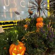 ヒメ日記 2025/10/11 11:52 投稿 りい なでし娘