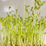 ヒメ日記 2025/10/14 07:42 投稿 りい なでし娘