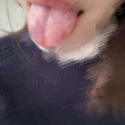 ヒメ日記 2025/11/18 13:15 投稿 りい なでし娘