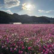 ヒメ日記 2025/11/19 08:41 投稿 りい なでし娘