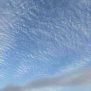 りい おつかれさまでした😌 なでし娘